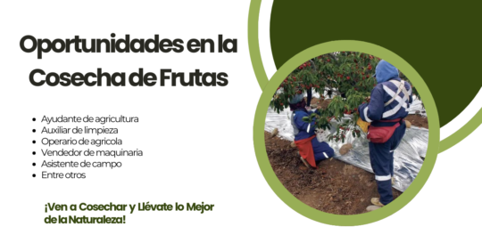 OPORTUNIDADESDETRABAJOENLACOSECHADEFRUTAS