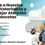 OFERTALABORALENVETERINARIAS
