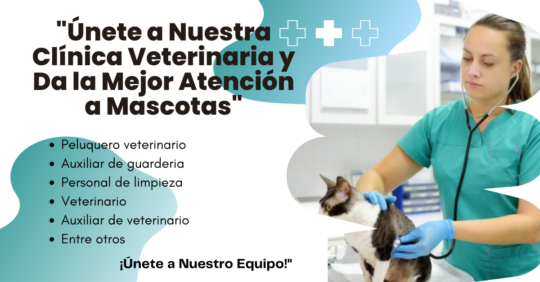 OFERTALABORALENVETERINARIAS